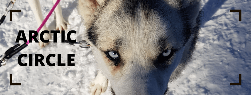 Rovaniemi most instagrammable&nbsp;activities