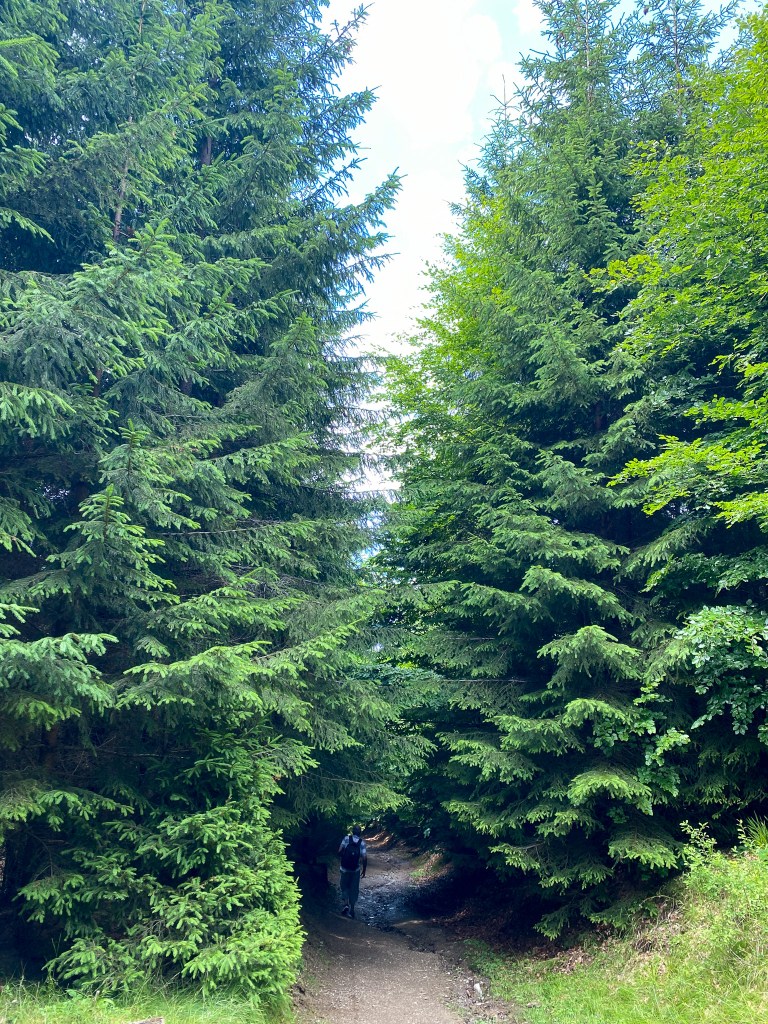 Cailor Waterfall Maramureș